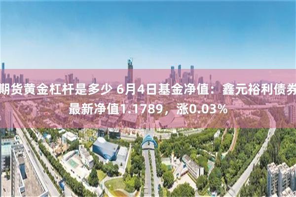 期货黄金杠杆是多少 6月4日基金净值：鑫元裕利债券最新净值1.1789，涨0.03%