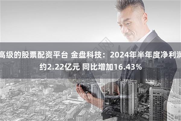 高级的股票配资平台 金盘科技：2024年半年度净利润约2.22亿元 同比增加16.43%