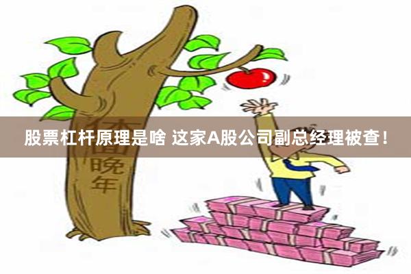 股票杠杆原理是啥 这家A股公司副总经理被查！