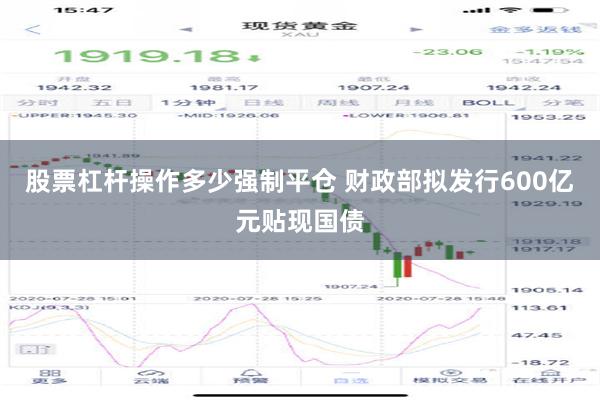 股票杠杆操作多少强制平仓 财政部拟发行600亿元贴现国债