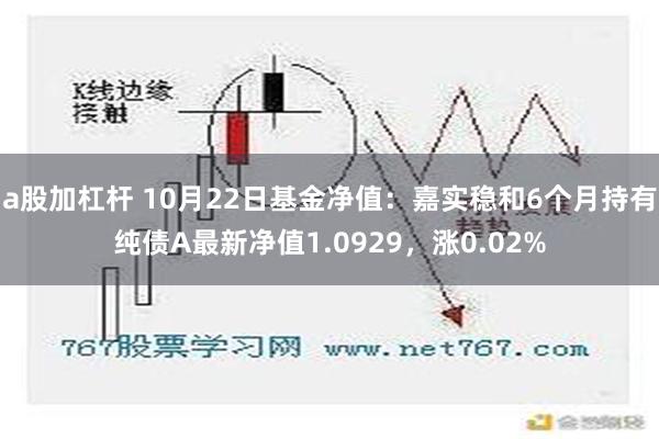 a股加杠杆 10月22日基金净值：嘉实稳和6个月持有纯债A最新净值1.0929，涨0.02%