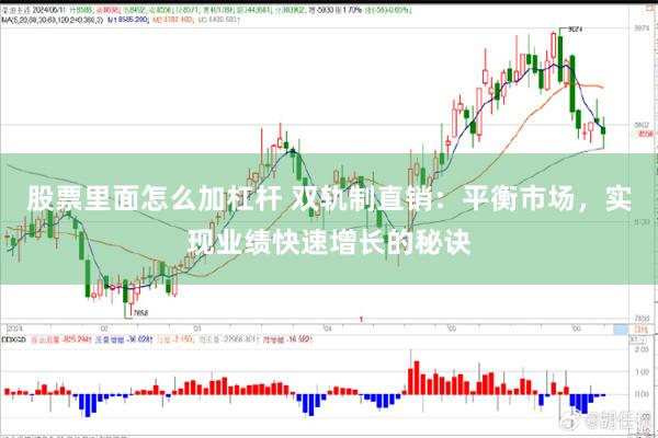 股票里面怎么加杠杆 双轨制直销：平衡市场，实现业绩快速增长的秘诀