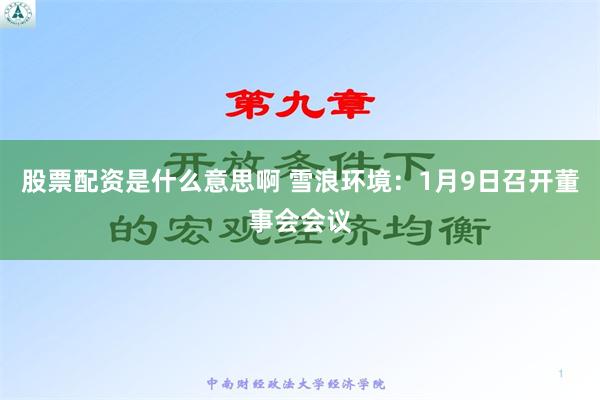 股票配资是什么意思啊 雪浪环境：1月9日召开董事会会议